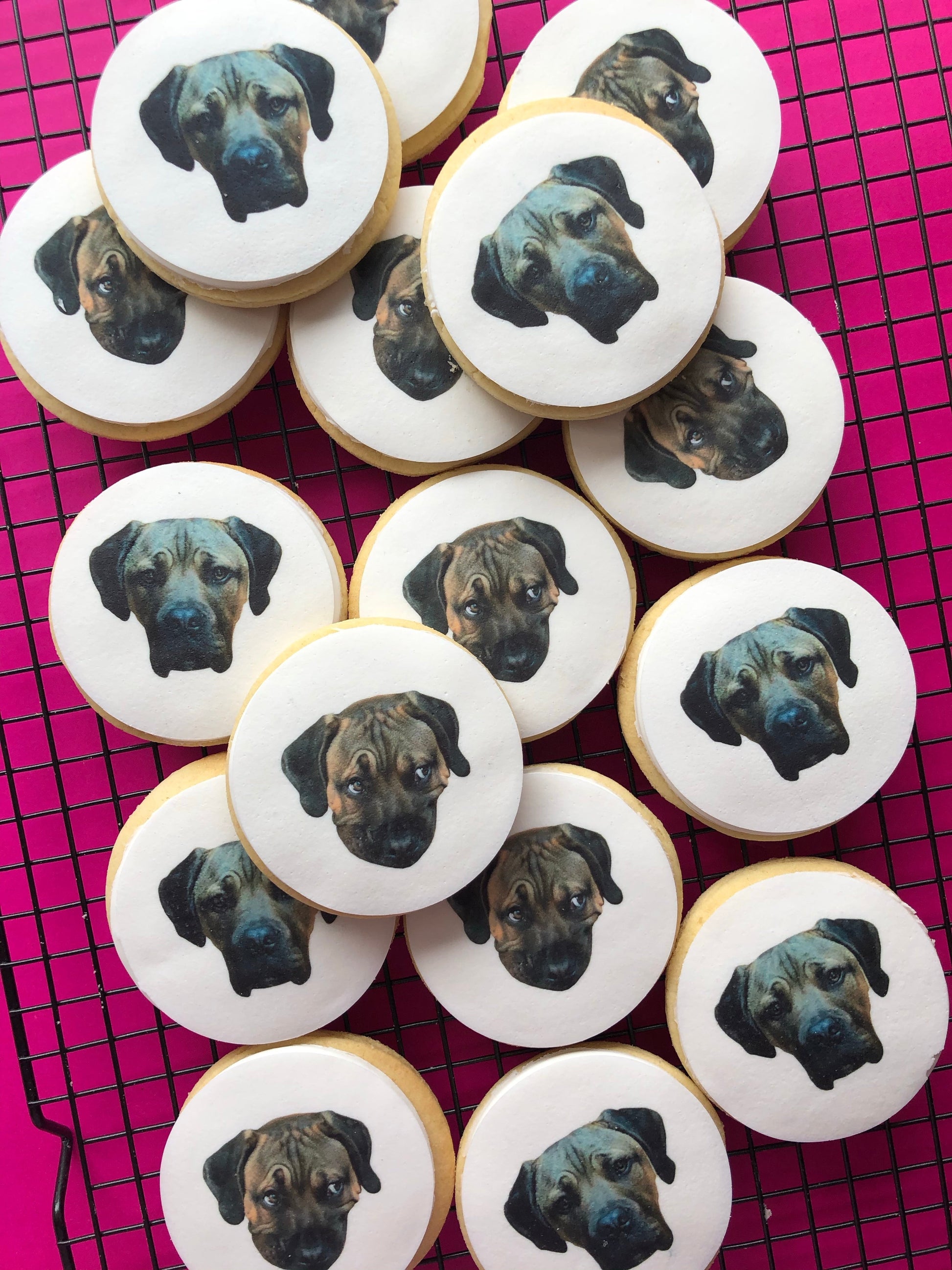 Personalise your own photo! - Sugar Rush by Steph